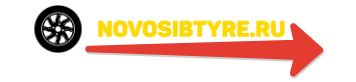 Логотип интернет-магазина автошин с доставкой по России NOVOSIBTYRE.RU